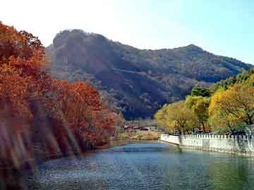 澳门红姐论坛精准两码300期，水晶板画